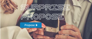 SURPRISE PROPOSE